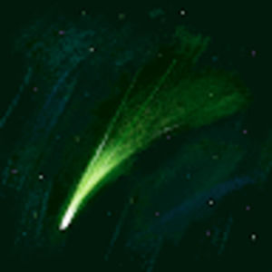 Meet your Posher, Ava